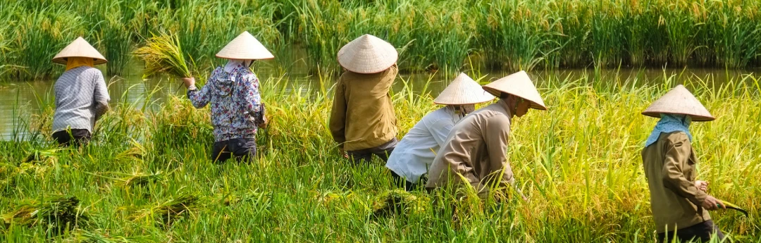 Economic Development