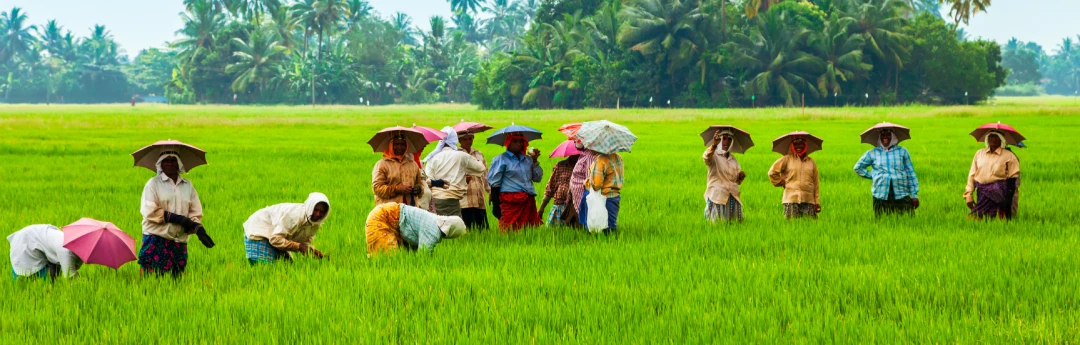 Economic Development