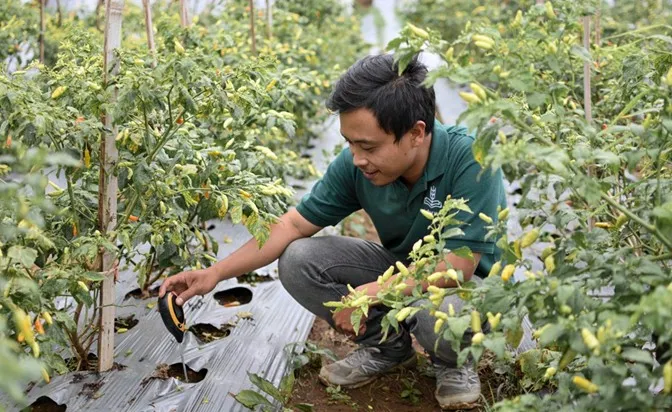 Impact Report Secondary