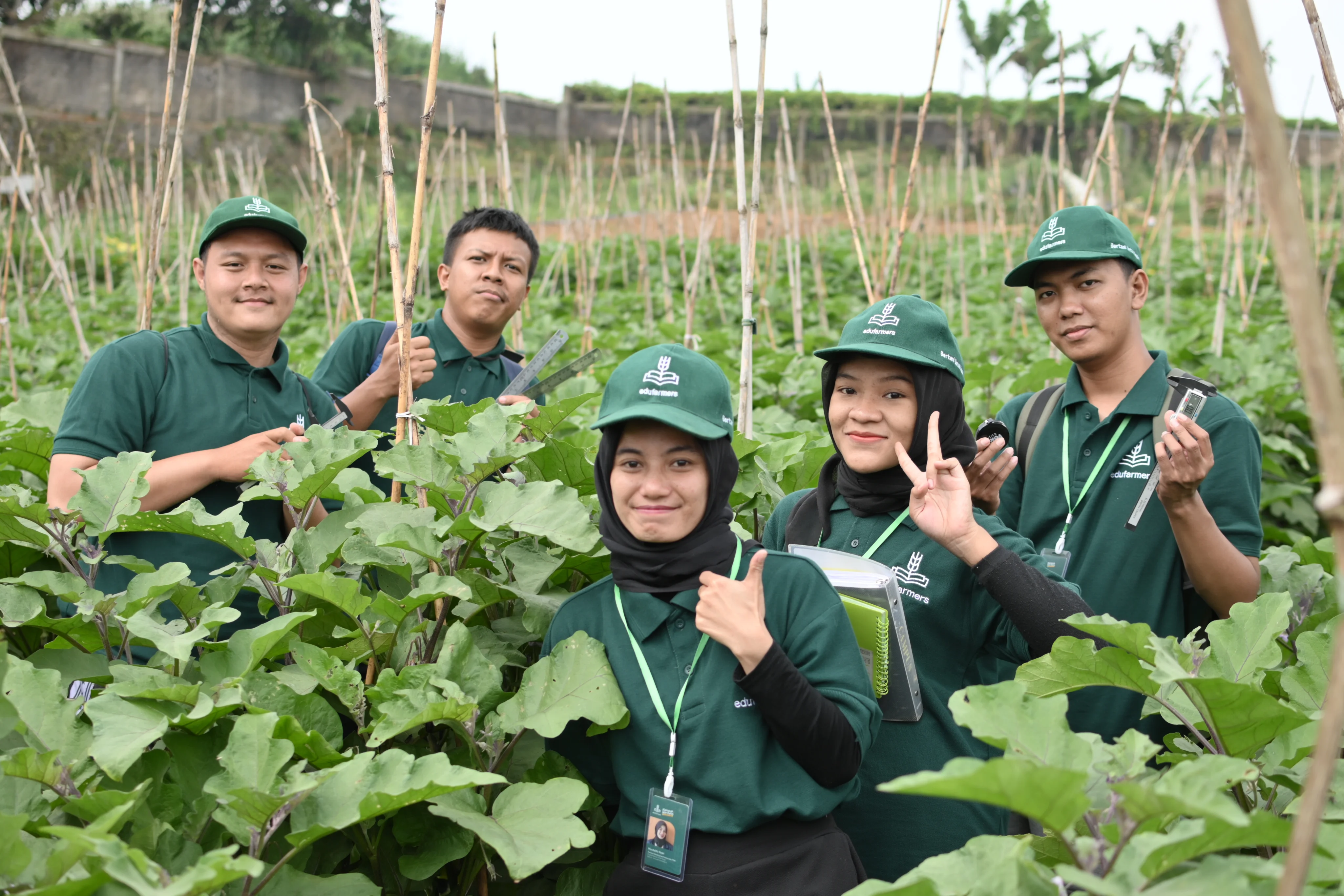 Team in agricultural field
