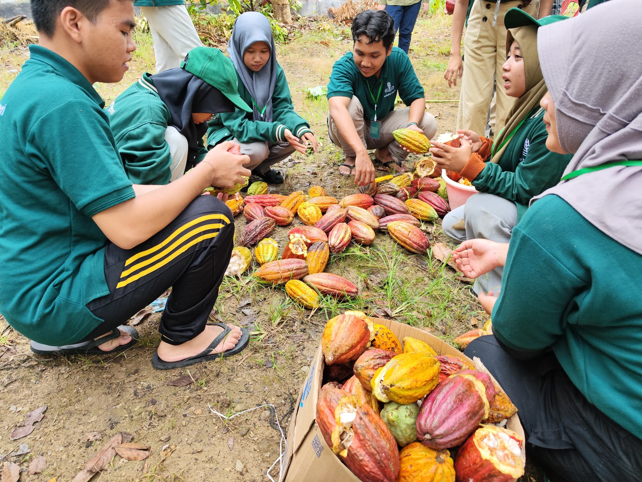 Team in agricultural field