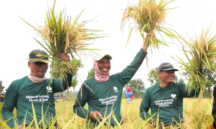 Utilizing Rice Straw Waste in Sustainable Agriculture Systems 