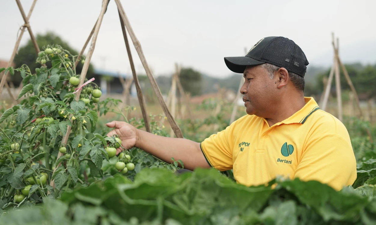 What We Learned from Bertani’s New Farming Communities: Baseline Results from Majalengka and Regencies in Central Sulawesi 