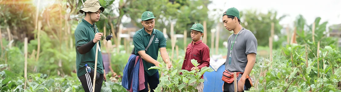 Work with youth to provide support in assisting smallholder farmers, thereby amplifying their voices and influence in shaping agricultural development agendas.