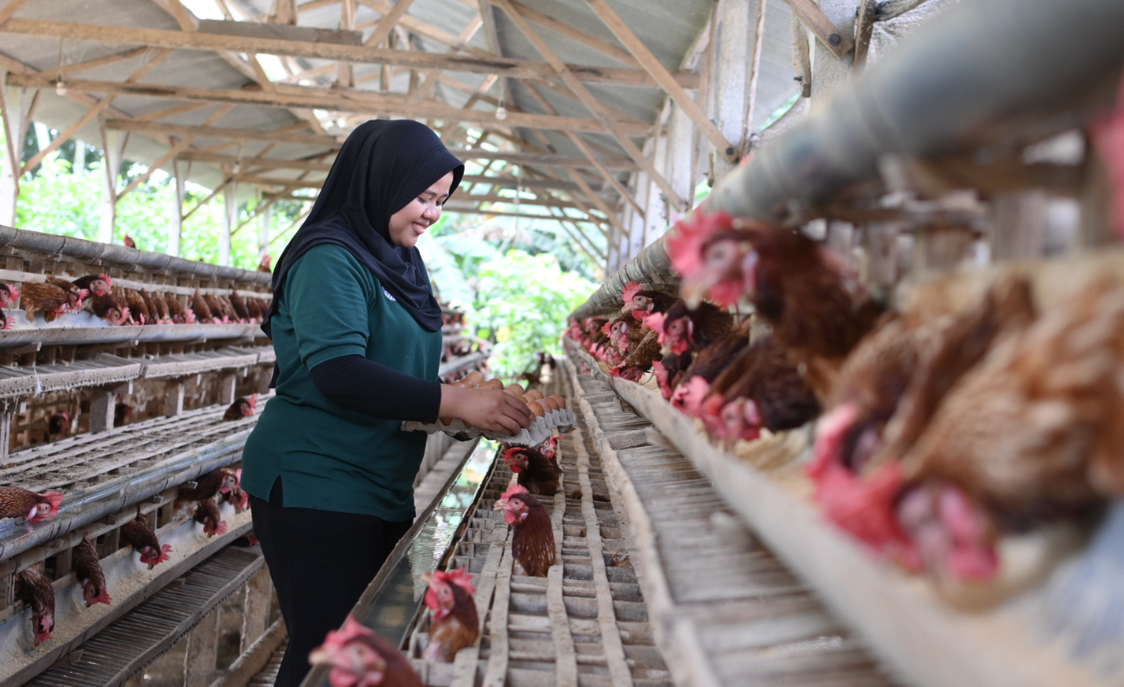 Impact Report 2021